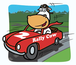 Rally Cow