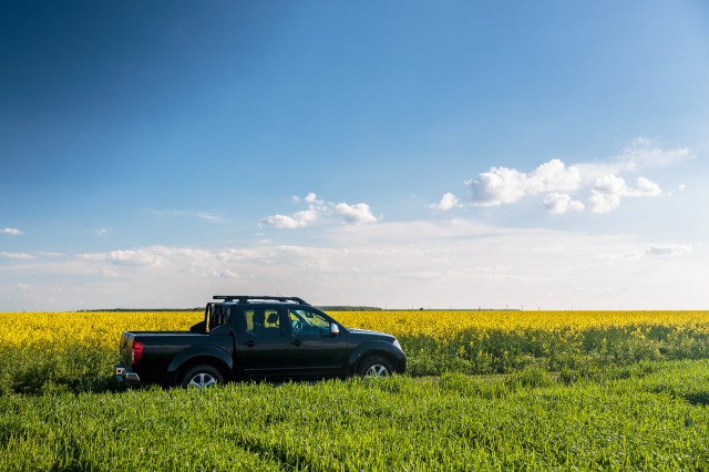 Nissan-Navara-00808